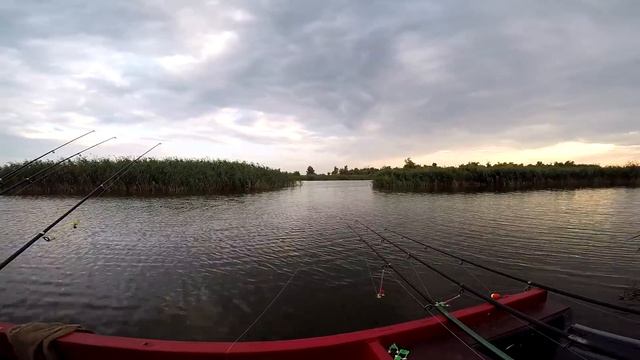 Поймал карпа сосед ОТ ЗАВИСТИ обворовал С 1 минуты смотреть онлайн