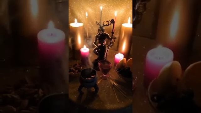 ЯНА ПРОВОДИТ РИТУАЛ В ЗАЩИТУ ЖИВОТНЫХ смотреть онлайн