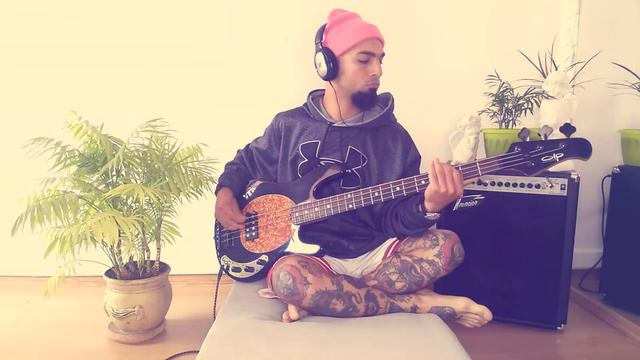 The Weeknd – House of Balloons(bass-cover) смотреть онлайн