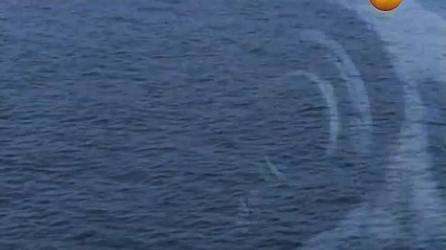 Территория Заблуждений 49 выпуск смотреть онлайн