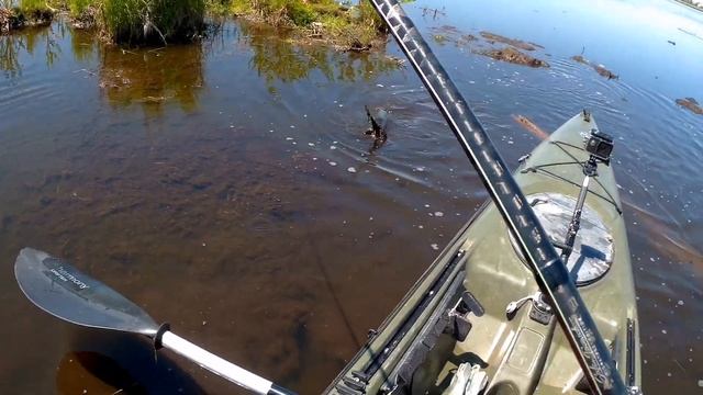 Змееголов.Каяк.Рыбалка глазами Друга с Хабаровска. смотреть онлайн