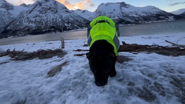 Рождественские традиции в Норвегии. Как отмечают Рождество норвежцы #норвегия #жизньвнорвегии