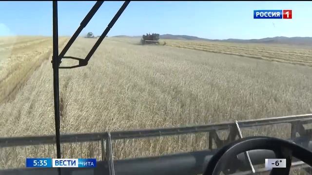 Урожай тритикале в хозяйствах Забайкалья на 30% превысил уровень 2022 года смотреть онлайн