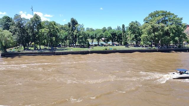 TIGRE ARGENTINA