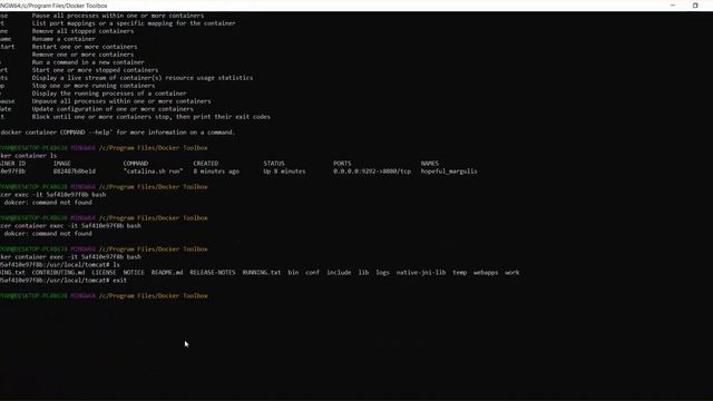 Deploy WAR file in Docker Tomcat Container Step by Step | Part-2 - Intact Abode смотреть онлайн