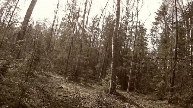 Варган и птицы на болоте смотреть онлайн