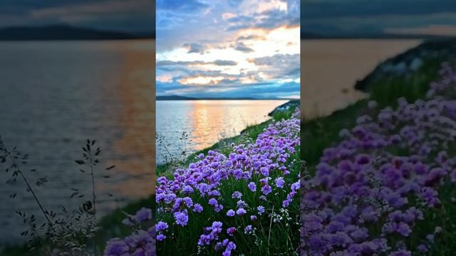 Красивые фотки 2 часть) фотки не мои, брала с интернета) смотреть онлайн