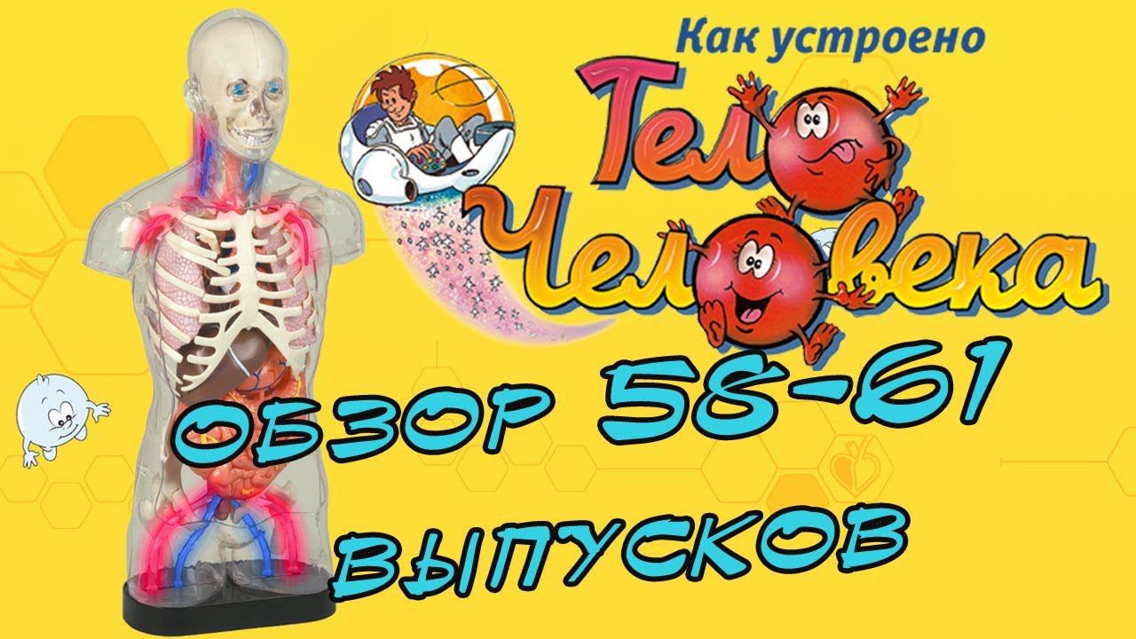 Как устроено тело человека | DeAgostini | 58-61 выпуски смотреть онлайн