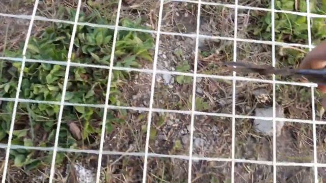 Сетка для армирования газобетона смотреть онлайн