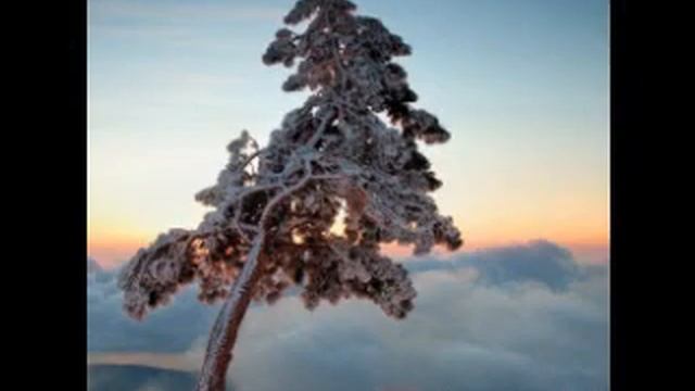 Есенин. Пороша. wmv смотреть онлайн