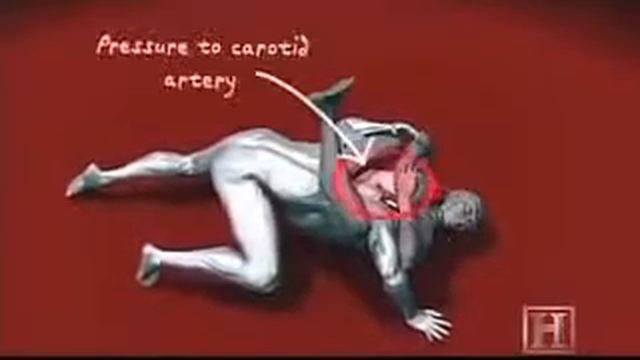 Учебник смешанных единоборств 2 смотреть онлайн