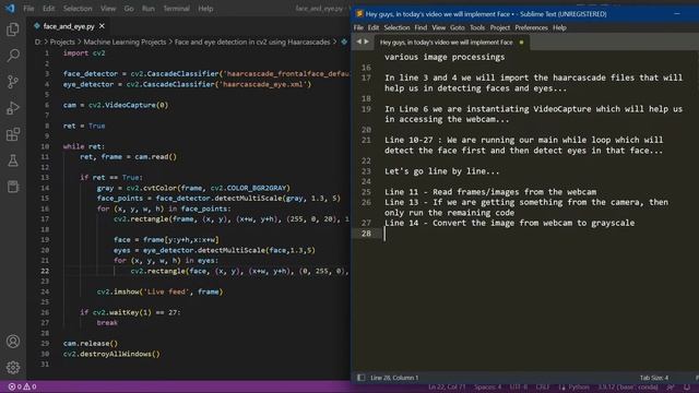How to detect Faces and Eyes using Python - Easy Computer Vision Project - with source code смотреть онлайн