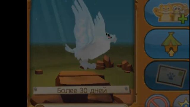 пропавшие животные в Animal Jam! смотреть онлайн