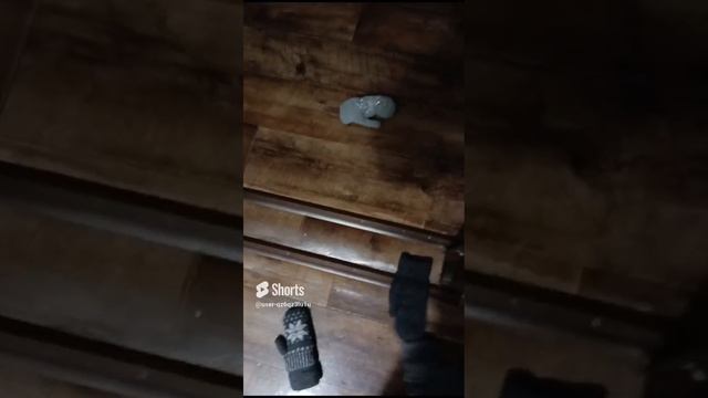 и так каждый вечер