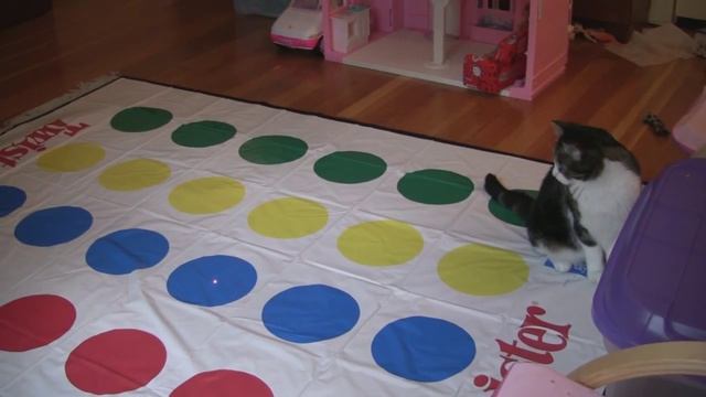 S01E02 - Laser-light Twister Tag смотреть онлайн