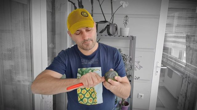 Çikolatalı puding meyvesi nedir, nerede yetişir, nasıl kesilir ve nasıl yenir? Black Sspote meyvesi смотреть онлайн