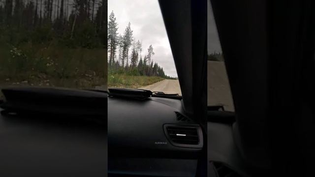 Дорога к оз. Пяозеро. Вся правда. смотреть онлайн
