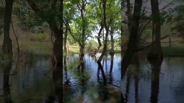 В ДУБРАВАХ на лодке смотреть онлайн