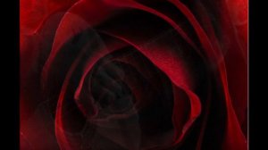 Сергей КОРЖУКОВ - РОЗА красная МОЯ ...