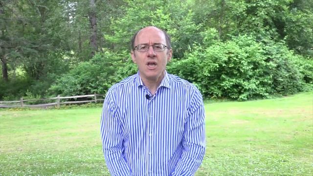 MLM Software Is Your Heart смотреть онлайн