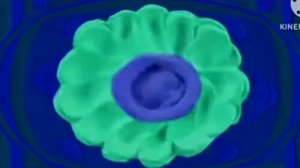 спокойной ночи малыши заставка