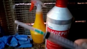 Коров одолели вши, клещи или оводы?? Лучшее средство для обработки скота, от кровососущих.?