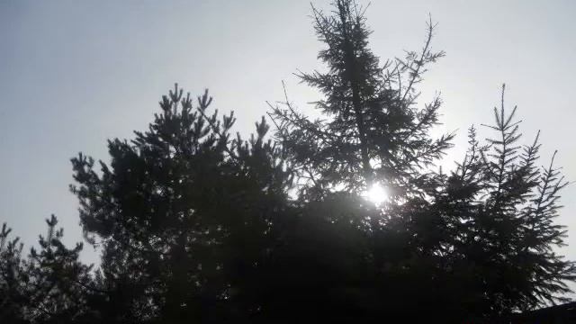 "Поляна" на границе зимы и весны смотреть онлайн