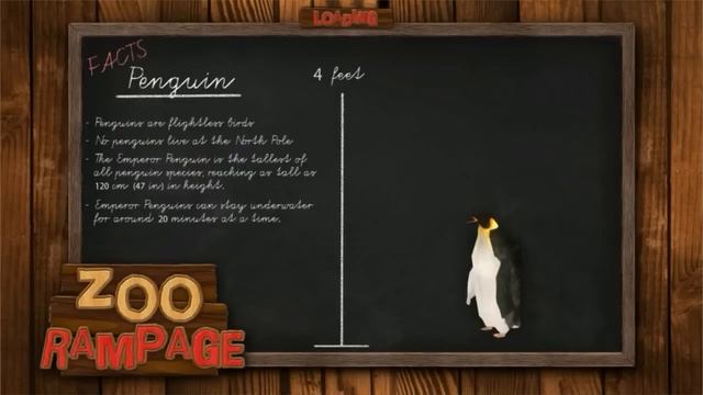 Zoo Rampage Gameplay (PC HD) смотреть онлайн