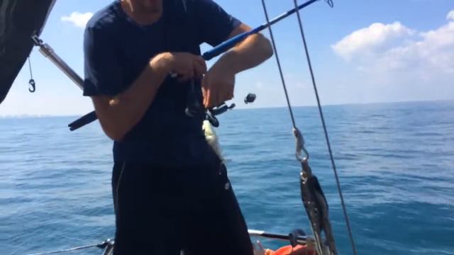 Рыба ФУГУ 12/9/14 смотреть онлайн