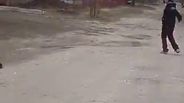 Девочка напала на собаку смотреть онлайн