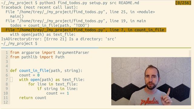 How to catch an exception in Python смотреть онлайн