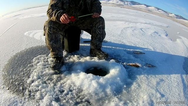 Зимняя рыбалка Гусинное озеро - Бурятия смотреть онлайн