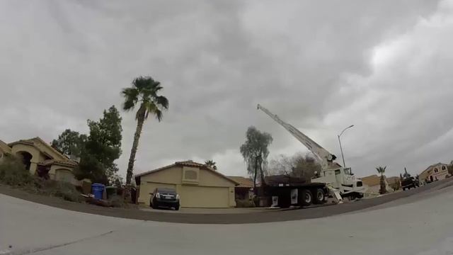 Large Willow Acacia Tree Removal Crane Hayward Tree 602-402-1378 смотреть онлайн