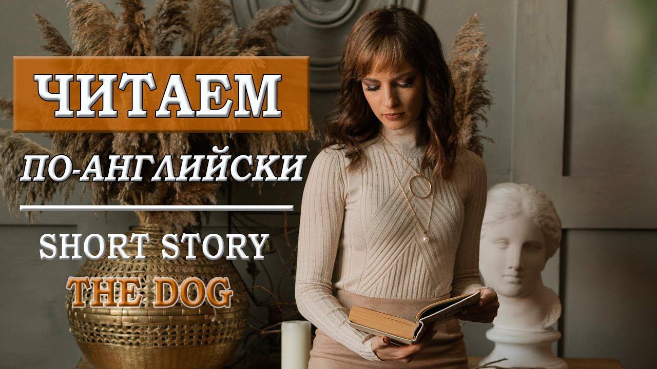 Читаем по-английский. История The Dog. Собака смотреть онлайн