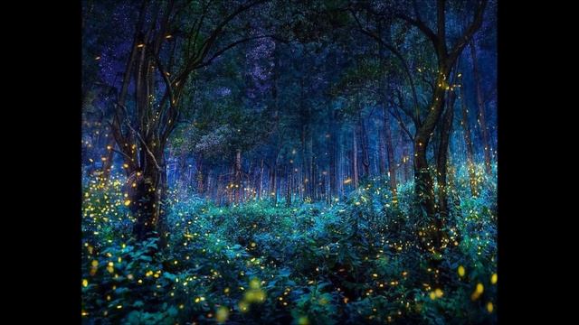 Звуки для СНА ночного леса. смотреть онлайн