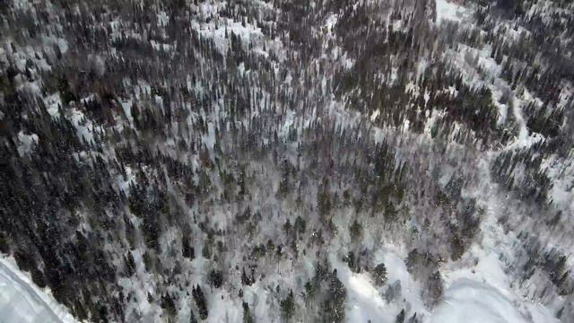 Горная Шория birdsview смотреть онлайн