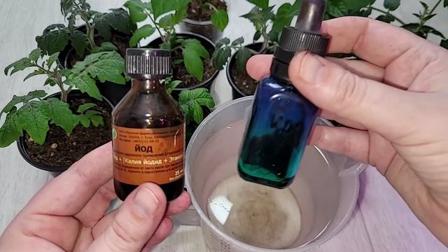 Подкормки, полейте, через 2 дня не узнаете растения смотреть онлайн