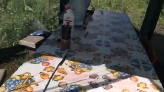 Брожу по даче и строю планы)