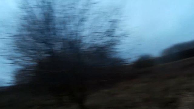 Охота на зайца 2021г. Открытие в Беларуси смотреть онлайн