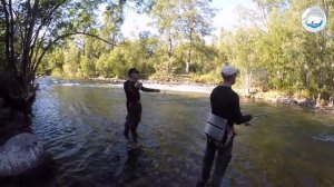 Байкальская рыбалка летом!- report Aug'16, Grayling, Lenok, Baikal rivers
