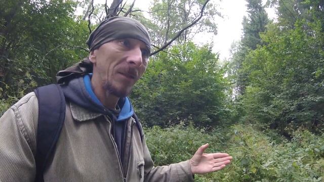 Чем можно питаться в лесу,если заблудился. смотреть онлайн