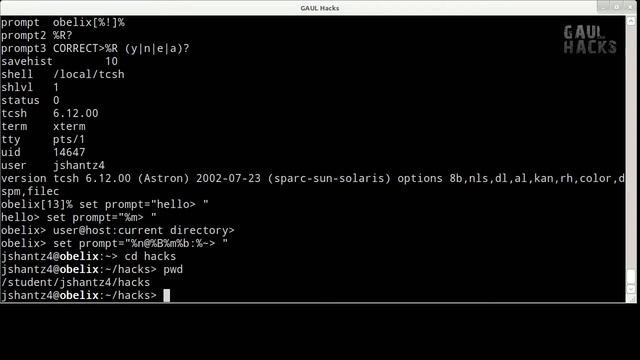 GAUL Hacks - Hack 1: Custom Prompts смотреть онлайн