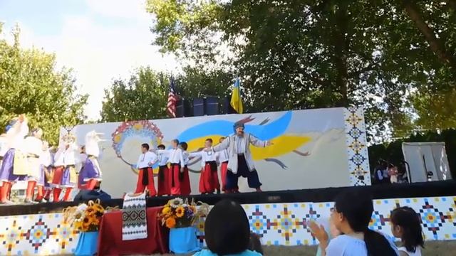 Veselka Dancers - " Danube" ! смотреть онлайн
