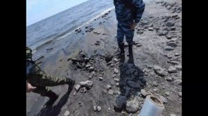 Поиск окаменелостей и аммонитов на побережье Волги!