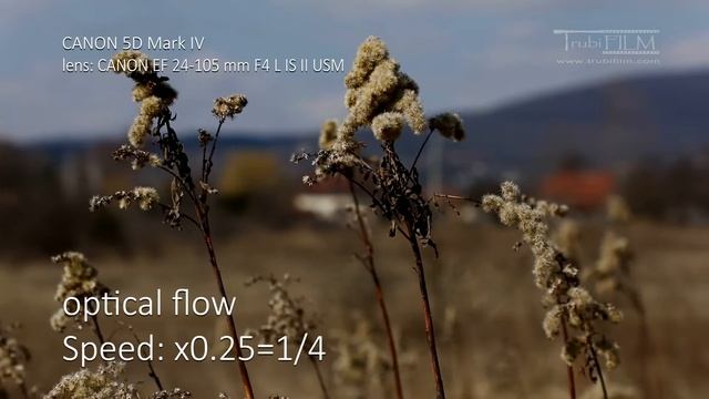 Canon 5D MARK IV TEST смотреть онлайн