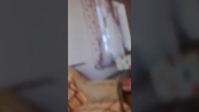 Блогер Давид!!! Элиста!!! смотреть онлайн