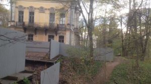 Санкт Петербург.  Дача императрицы Елизаветы.  Там можно найти много интересных трав.