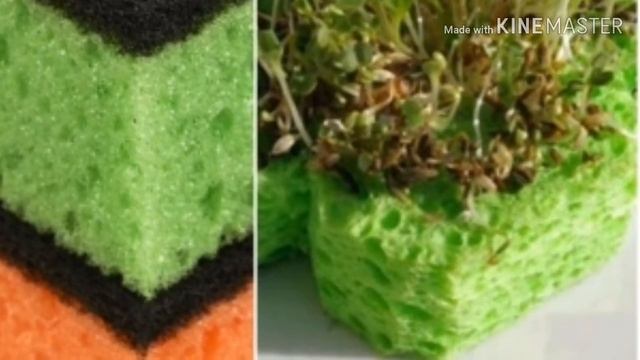 Вы этого не знали. Лайфхаки с ГУБКОЙ для мытья посуды смотреть онлайн