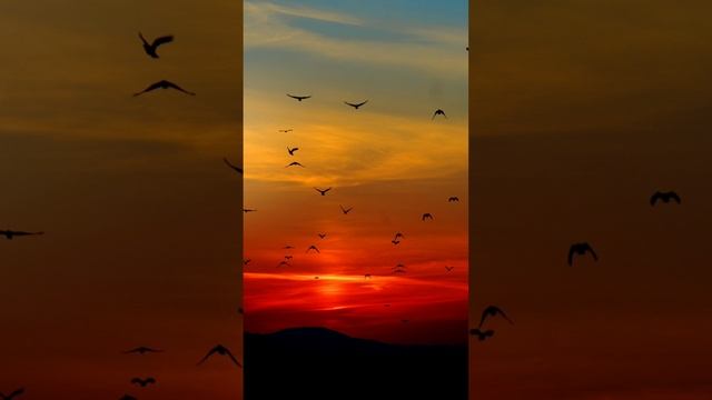 ?Танцуй?если?знаешь?этот?тренд? 2023??года? смотреть онлайн