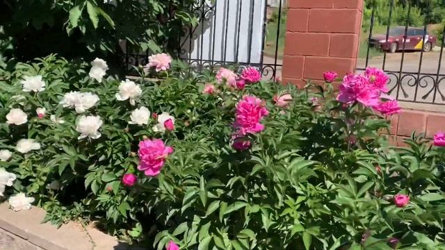 Покровский храм Уфы. Храмы России. Храмы Башкирии. 200 лет старинному храму.